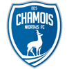 Chamois Niort
