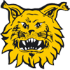 Tampereen Ilves