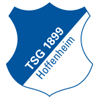 1899 Hoffenheım