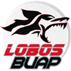 Lobos