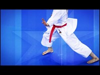 Avrupa Büyükler Karate Şampiyonası Özet